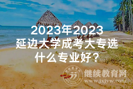 2024年延边大学成考大专选什么专业好？