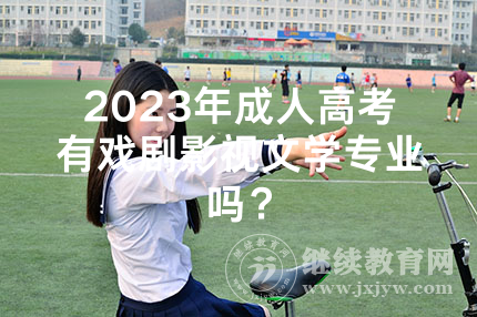2024年湖南成人高考有戏剧影视文学专业吗？