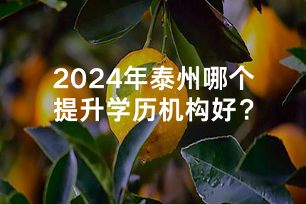 2024年宁波哪个提升学历机构好？